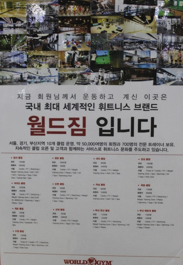 대영레포츠 이미지