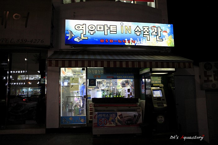 디케이마트 이미지