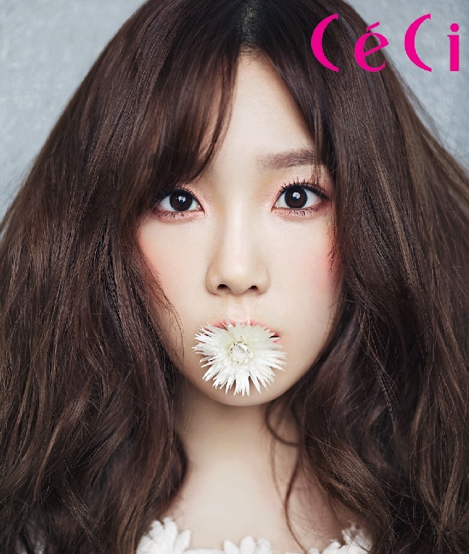 쎄시온 이미지