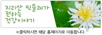 토종흰민들레식품 이미지