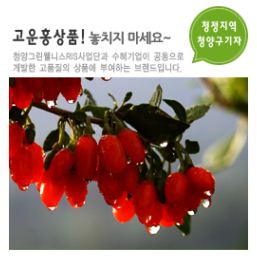 동양푸드 이미지