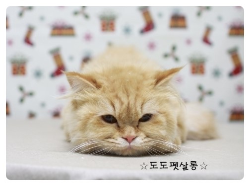 이뿌 미용실 이미지