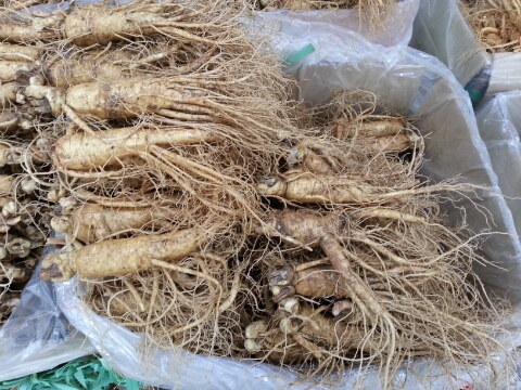 금산수삼시장(주) 이미지