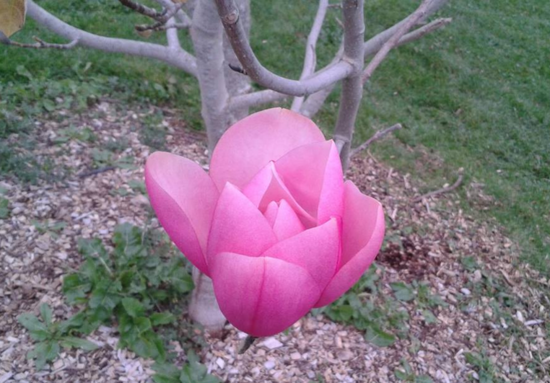산업밧데리 이미지