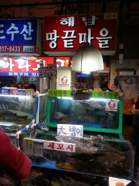 땅끝수산 이미지