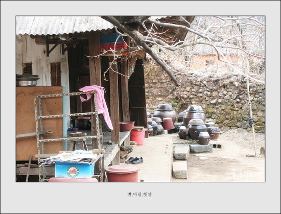 단성면 사양정사 이미지