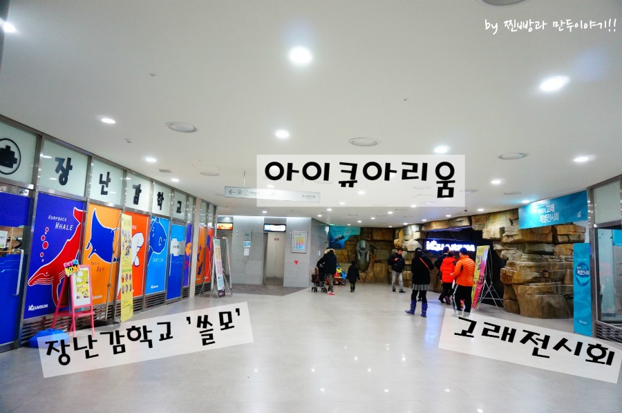 (주)아리움 이미지