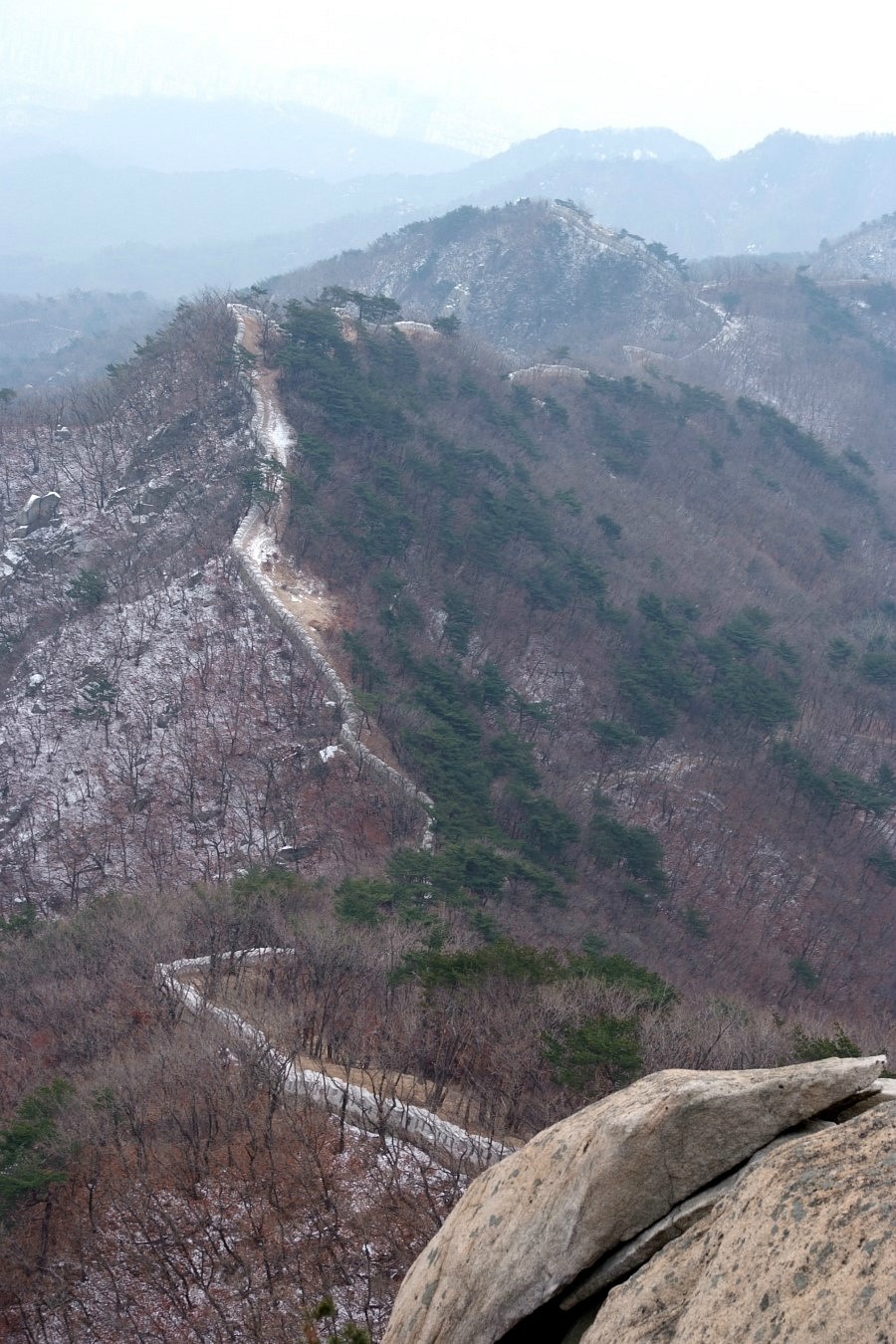 곡성청과 이미지