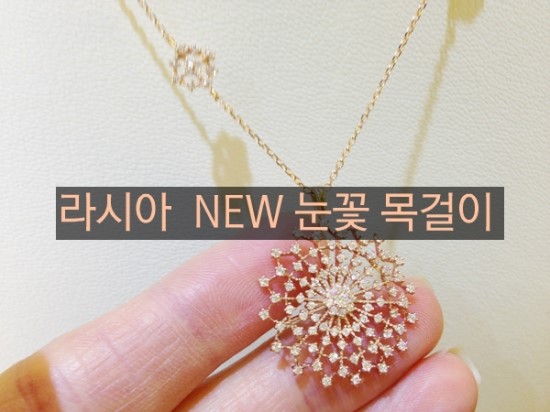 미공사 이미지