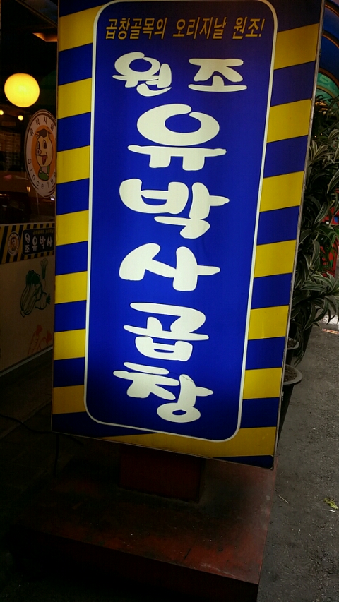 유박사 이미지