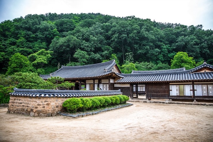 담 이미지