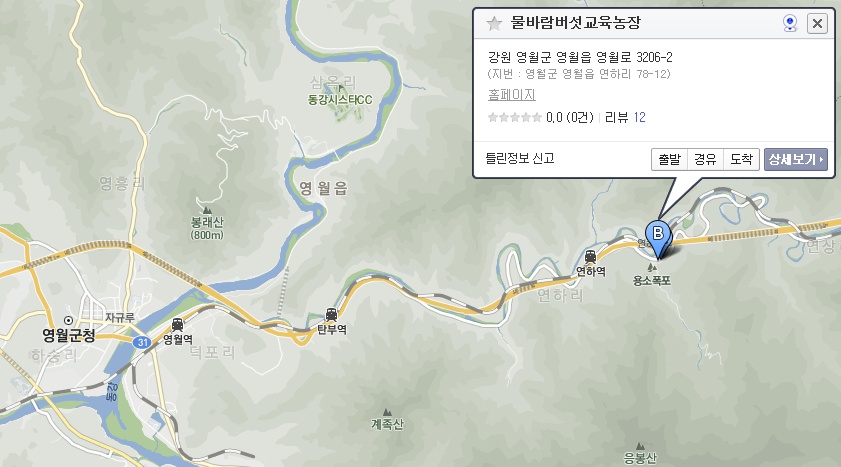 별마로버섯 이미지