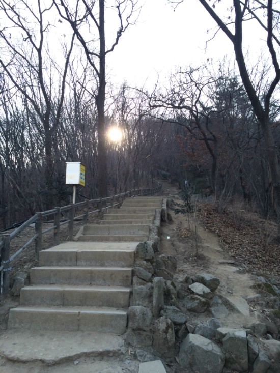 달빛커튼드리운바다 이미지