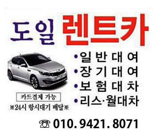 도일렌터카 이미지