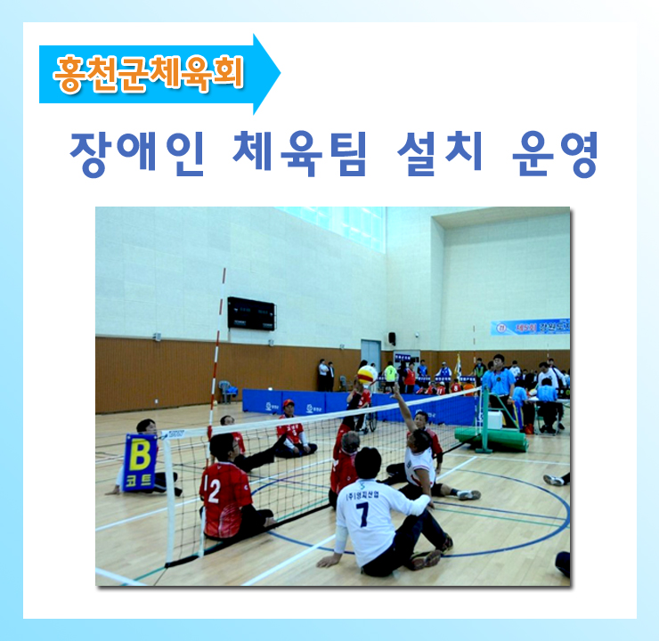 홍천군체육회 이미지