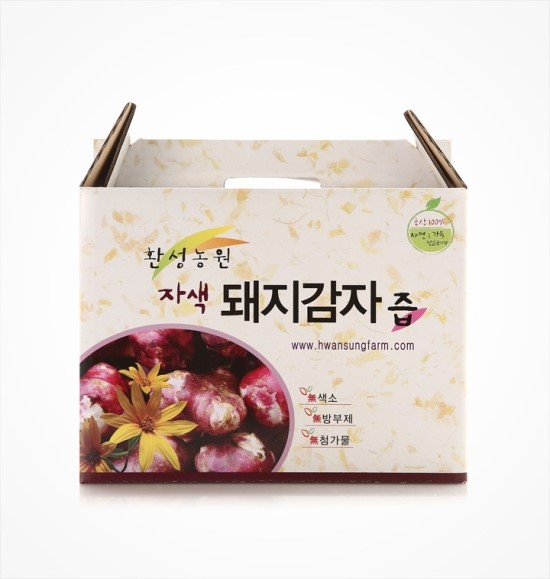 돼지꿈나라 이미지