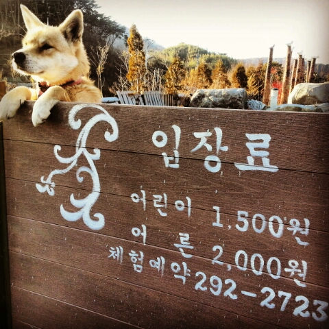 토성도예예술촌 이미지