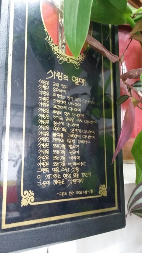 대전짬뽕 이미지