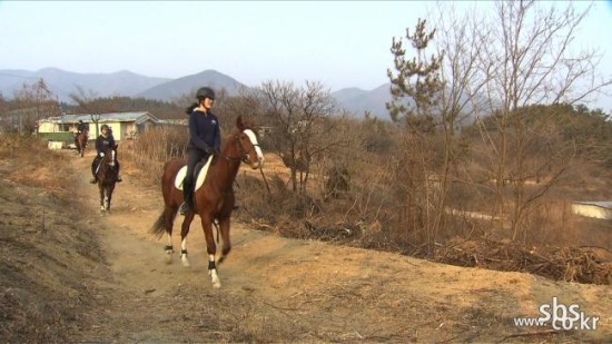 장흥레져산업 이미지