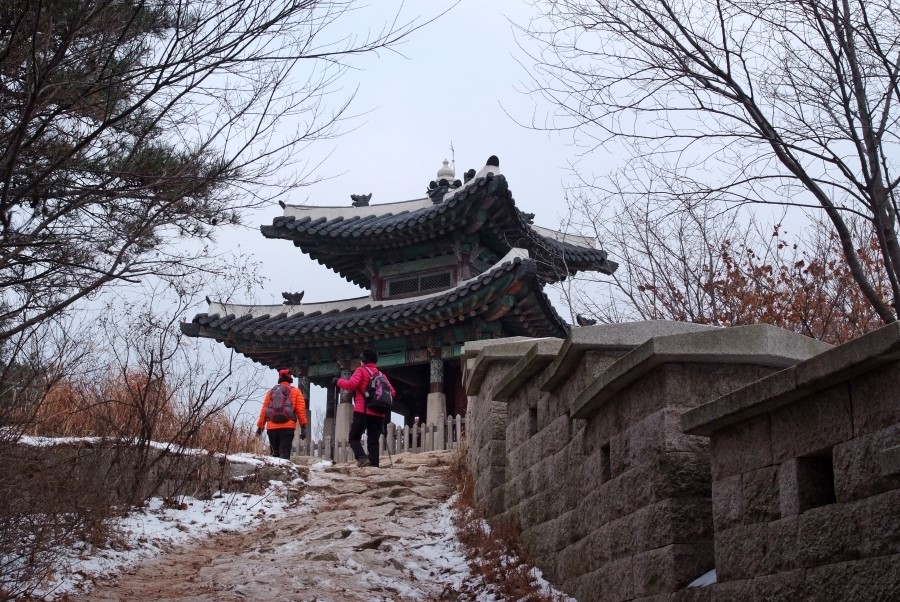곡성청과 이미지