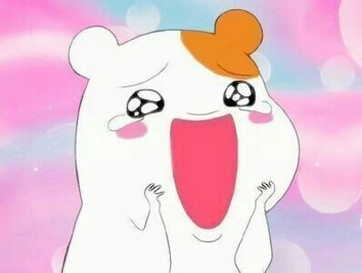 엣파니니 이미지