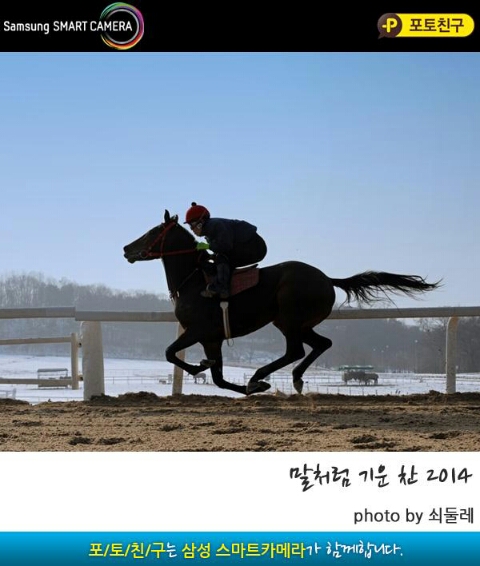 모이 이미지