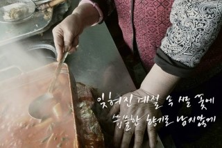 꽃돼지세상 이미지