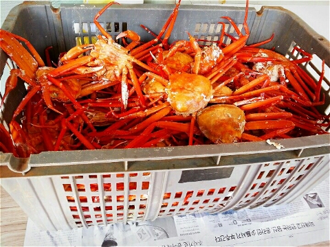 영덕특산물 이미지