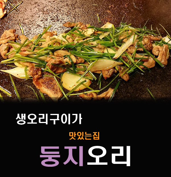둥지생오리 이미지