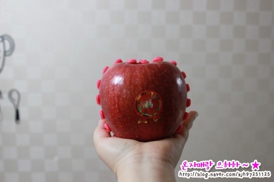 구정상회 이미지
