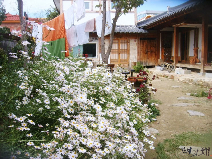 벼리채 이미지