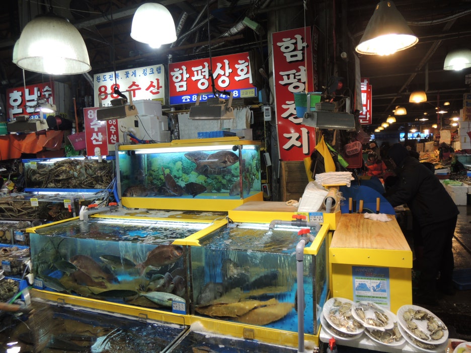 함평상회 이미지