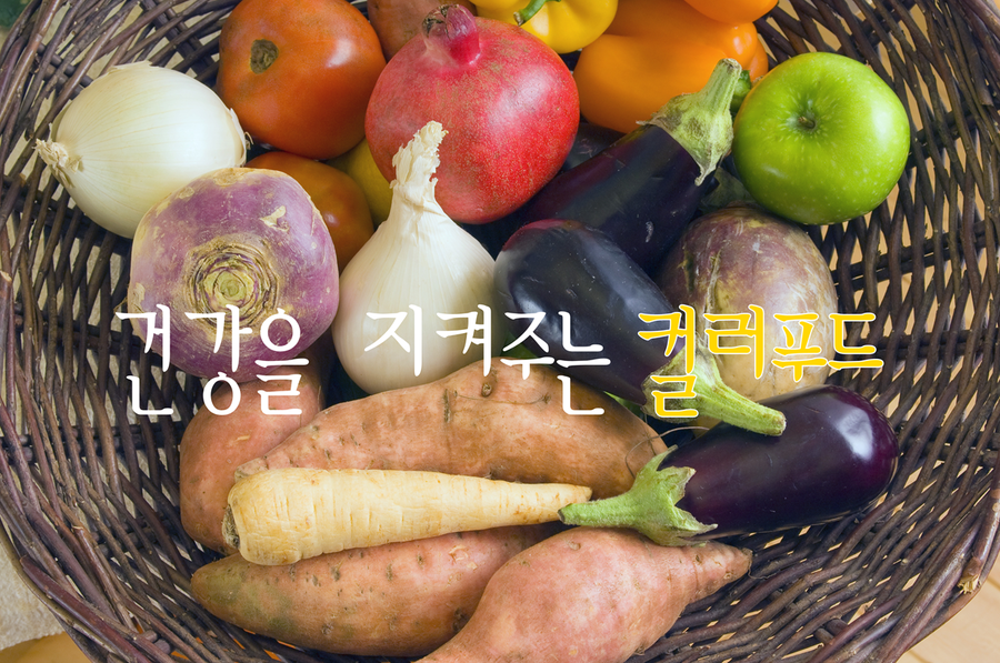 오렌지푸드 이미지