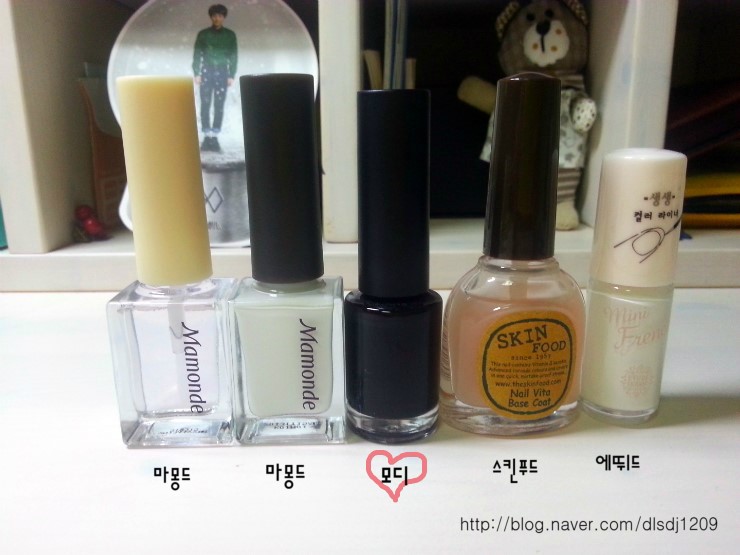 얼룩말손톱 이미지