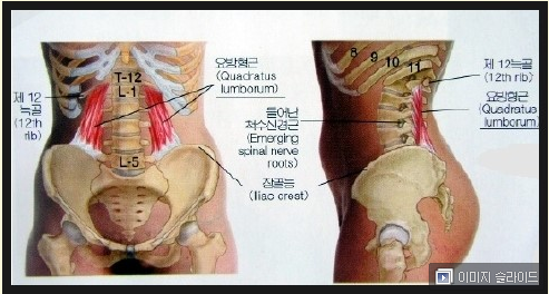 훈체형관리 이미지