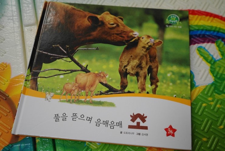 음매 이미지