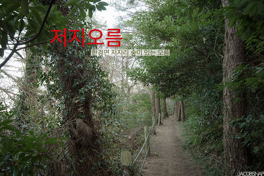 홈베이킹오름 이미지