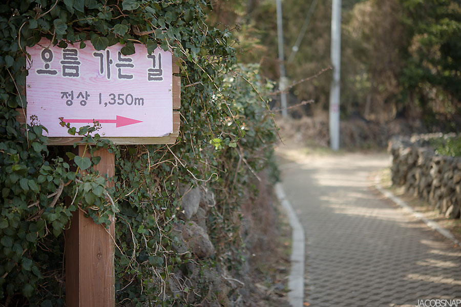 홈베이킹오름 이미지