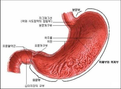 프라임생활건강 이미지