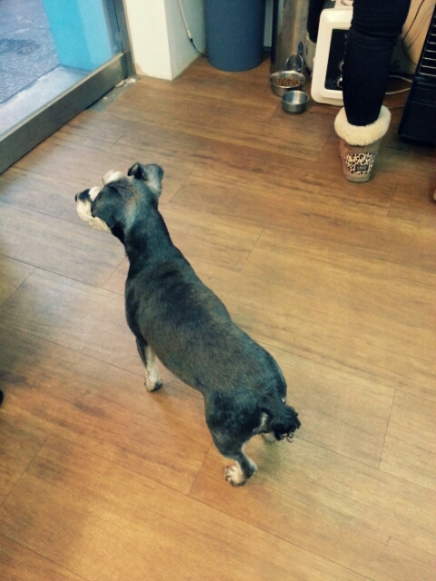 오블라썸네일 이미지