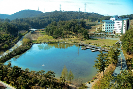 호원대학교1 이미지