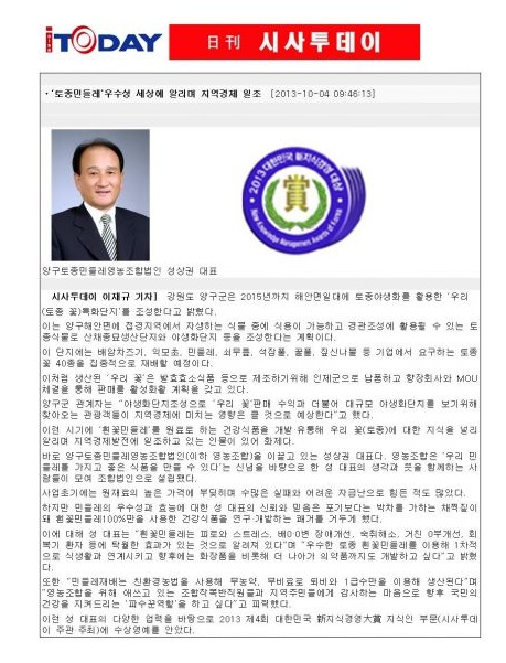 양구토종민들레영농조합 이미지