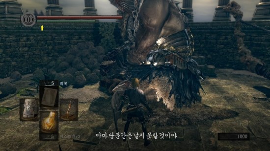 태양미트 이미지
