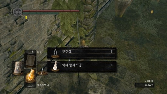 태양미트 이미지