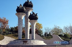 여수시오동도관리사무소 이미지