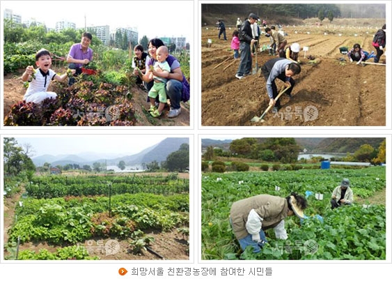 광주농장2 이미지