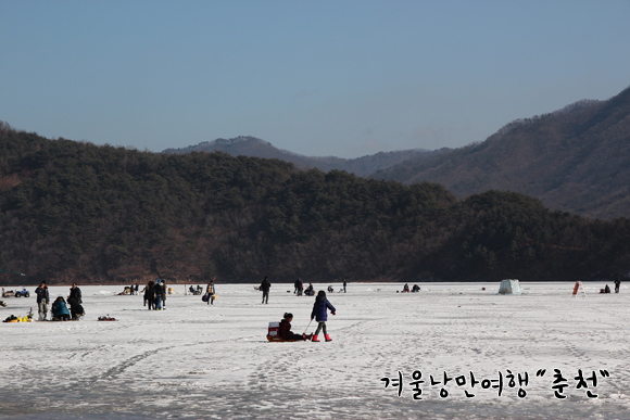 옥산포기사식당 이미지