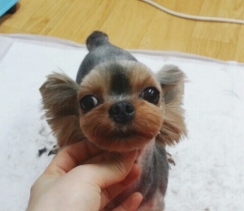 동글동글 이미지