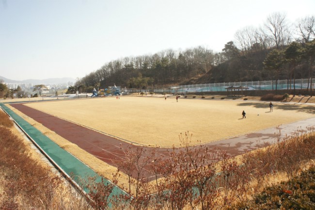 솔로몬마트 이미지
