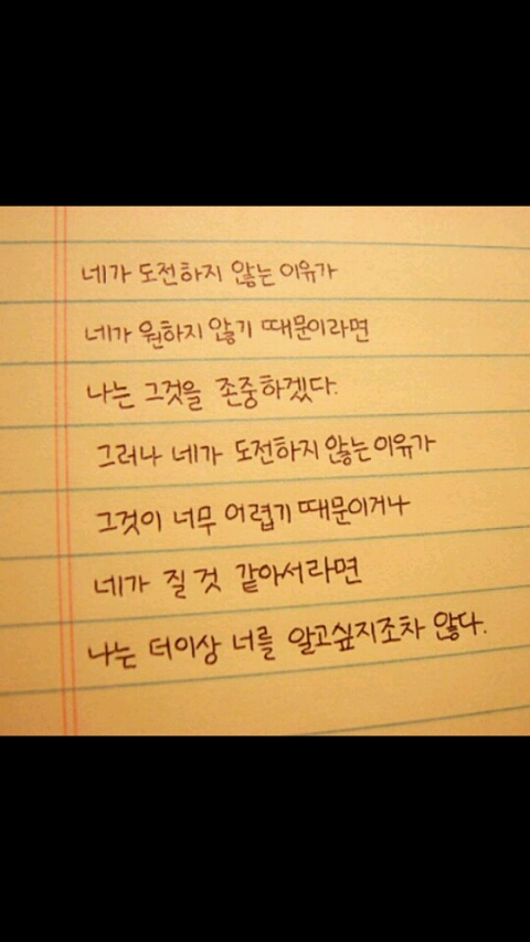 바디쉐프 이미지